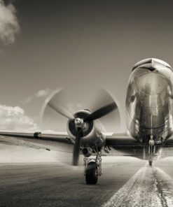 Fototapeta Stříbrný pták