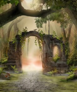 Fototapeta Skryté brány