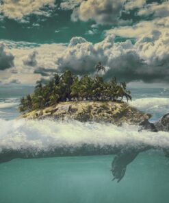 Fototapeta Paradise Turtle