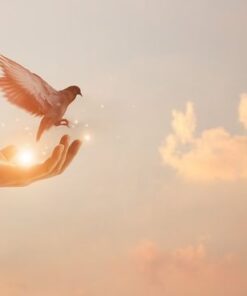 Fototapeta Liberation