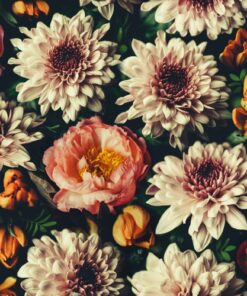 Fototapeta Barevná pohlednice