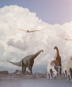 Fototapeta Procházka dinosaurů