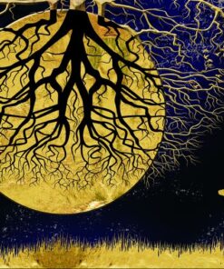 Fototapeta Zlatá noc