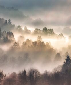 Fototapeta Paprsky slunce
