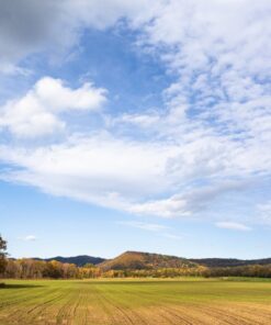 Fototapeta Green Field
