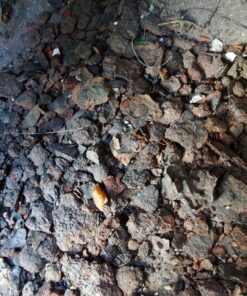 Fototapeta Avalanche of Stones