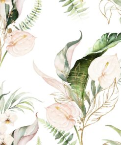 Fototapeta Anthurium květiny