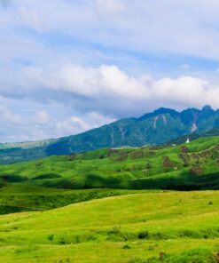 Fototapeta Zelené údolí
