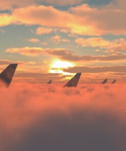 Fototapeta Winged Sky