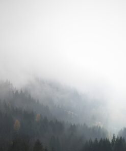 Fototapeta Tajemná mlha