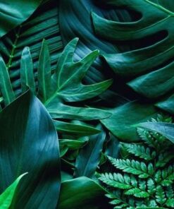 Nálepka na zeď zelené listy 8