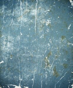 Fototapeta Modrá kniha