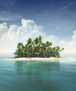 Fototapeta Palm Island