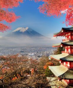 Fototapeta Panorama Kjóta