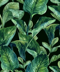 Fototapeta Hawaiian Leaves