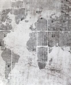 Fototapeta Gray Map
