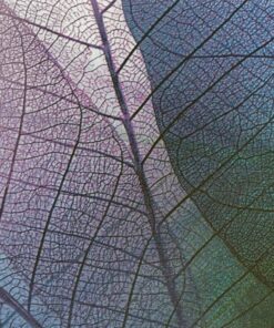 Nálepka na stěnu Leaf Closeup