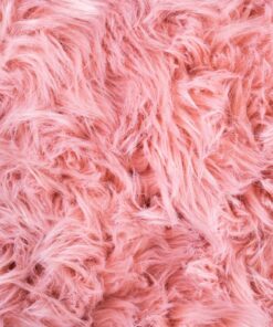 Fototapeta Růžová barva