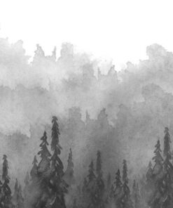 Fototapeta Forest Fog