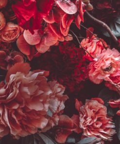 Fototapeta Flower Wall