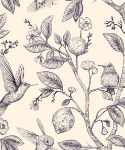 Fototapeta Kresba kolibříků