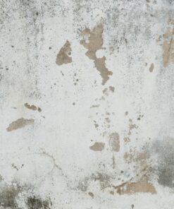 Fototapeta Cementová stěna