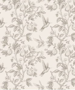 Fototapeta Pink Hummingbirds