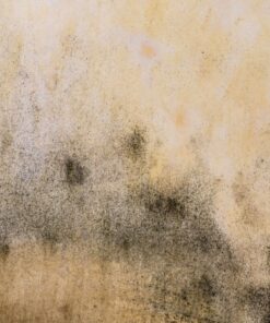 Fototapeta Cement pozadí