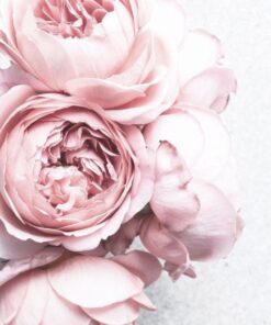 Fototapeta Romantická kytice