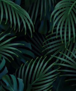 Fototapeta Větve palem