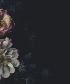 Fototapeta Květiny v černé barvě