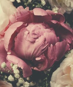 Fototapeta bílá a růžová 2