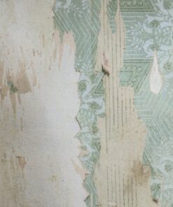 Fototapeta Zelená Tapeta