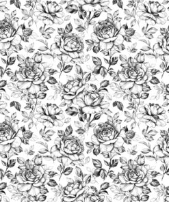 Fototapeta kresba růží