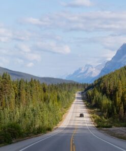 Fototapeta Up the hill