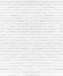 Fototapeta White Backing 2