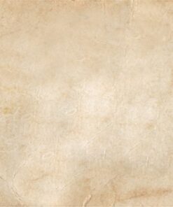 Fototapeta Hnědý list