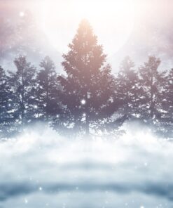 Fototapeta Zimní noc