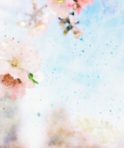 Fototapeta Třešňový květ