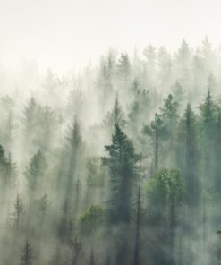 Fototapeta Vertical Fog