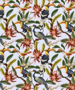 Fototapeta Tropics and Birds