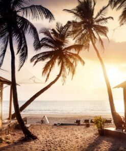 Fototapeta Palmy Na Pláži