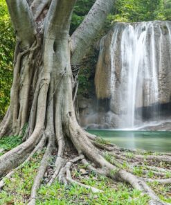Fototapeta Strom a vodopád