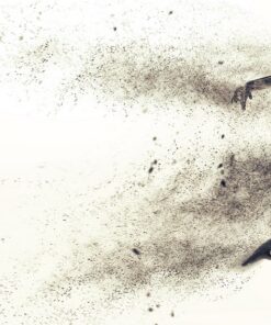 Fototapeta Baletní tanečnice