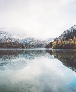 Fototapeta Jezero a les