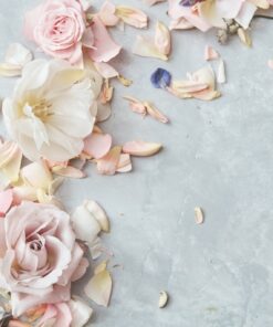 Fototapeta Okvětní lístky růží