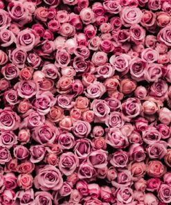 Fototapeta Flowery Carpet