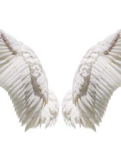 Fototapeta Andělská křídla