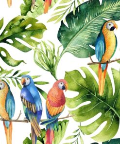 Fototapeta Barevní papoušci