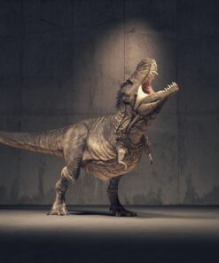 Fototapeta Dinosaurus 8